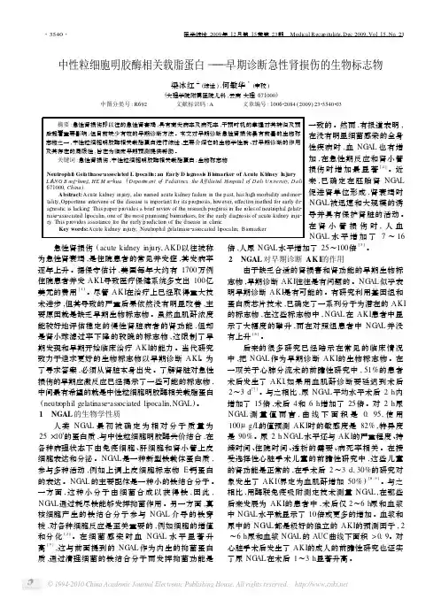 中性粒细胞明胶酶相关载脂蛋白_早期诊断急性肾损伤的生物标志物