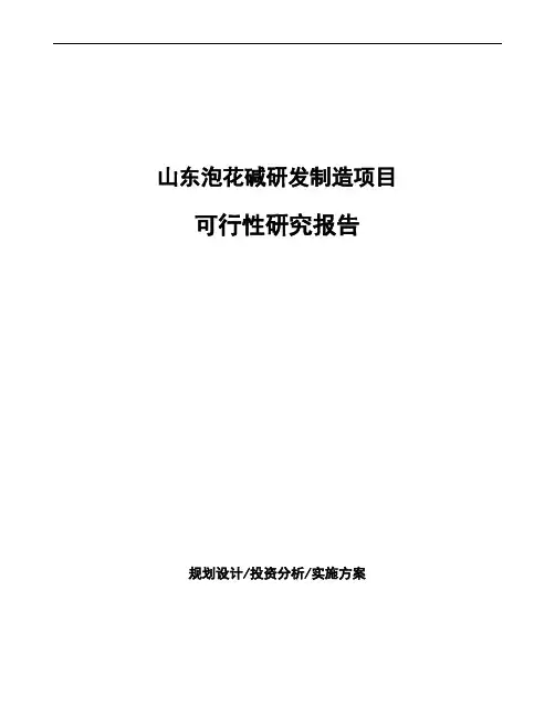 山东泡花碱研发制造项目可行性研究报告
