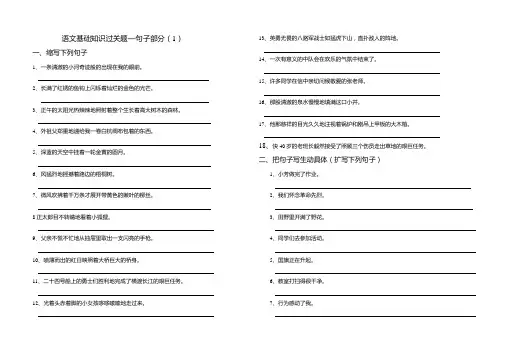 语文基础知识过关题—句子部分