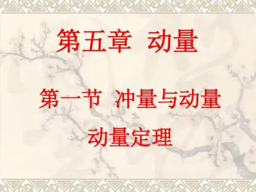 第一节 动量 动量定理