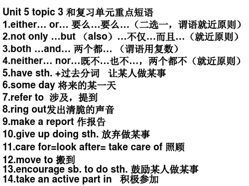 仁爱英语九年级下册unit 5 topic 3 重点短语