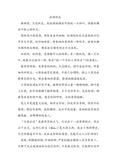 校园秋色