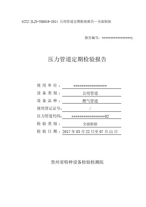 压力管道定期检验报告 2