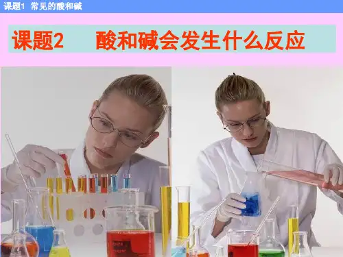 酸和碱之间会发生什么反应skPPT课件