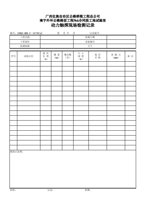 动力触探现场检测记录表