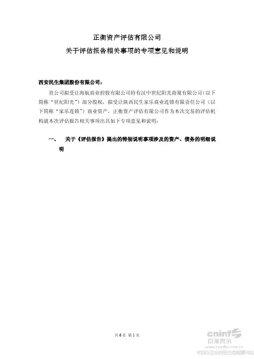 关于评估报告相关事项的专项意见和说明62038713[1]