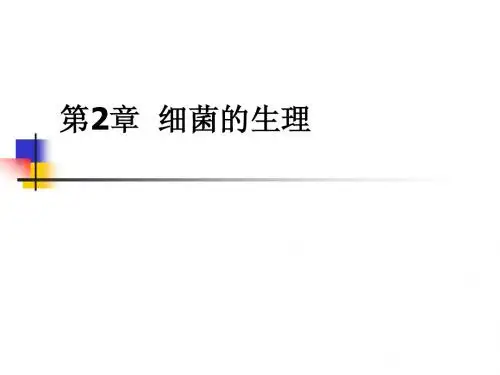 细菌的生理