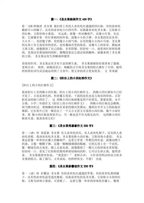 圣女果作文500字