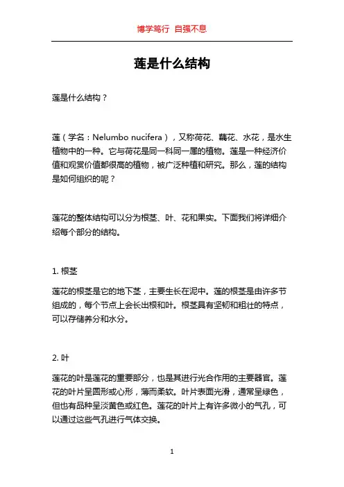 莲是什么结构