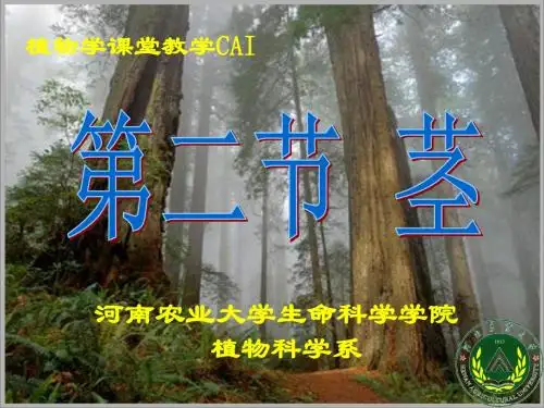 第三章第二节