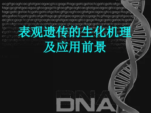表观遗传的生化机理及应用前景