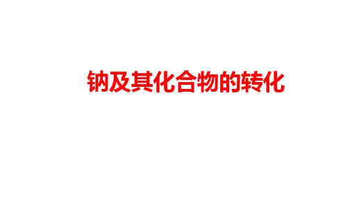 2020届高三化学复习 钠及其化合物的转化 复习课 课件(共26张PPT)(共26张PPT)