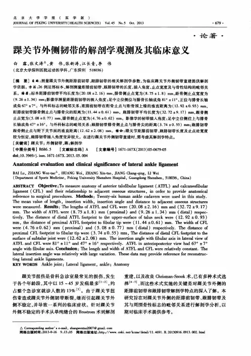 踝关节外侧韧带的解剖学观测及其临床意义