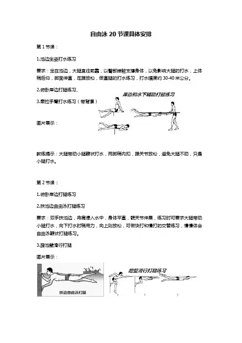 自由泳20节课程具体安排