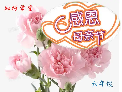 母亲节主题班会