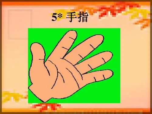 手指课件一(PPT)
