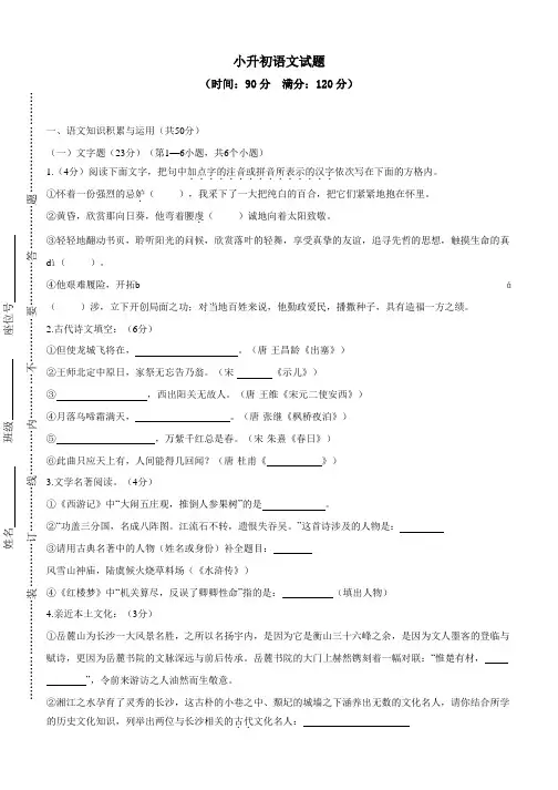 小学语文：小升初语文试题