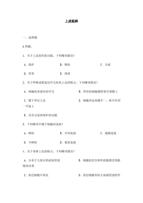 上皮组织 2