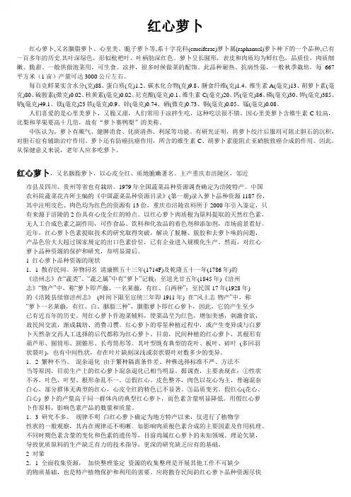 红心萝卜