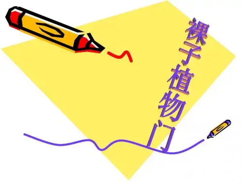 裸子植物
