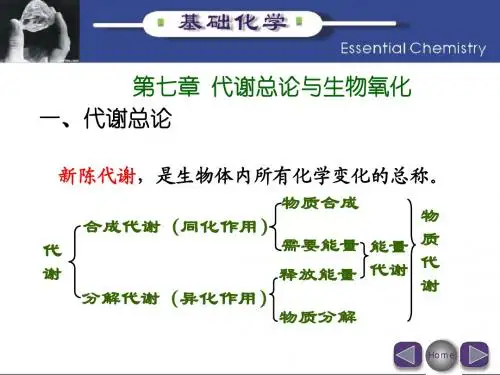 代谢总论与生物氧化(七)