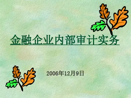 金融企业内部审计实务