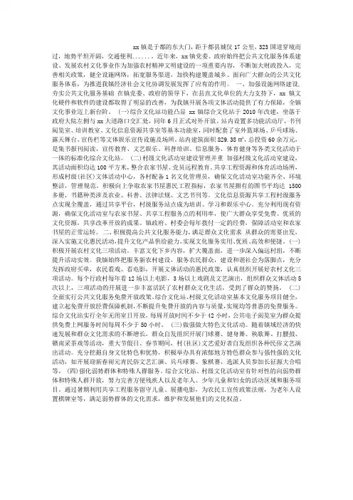 公共文化服务体系建设工作总结范文