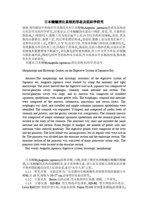 日本鳗鲡消化系统的形态及组织学研究