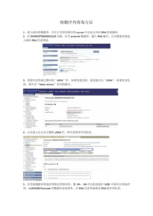 核酸序列查询方法