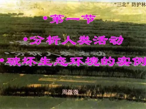分析人类活动破坏生态环境的实例