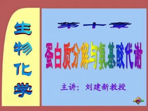 第10章蛋白质分解与氨基酸代谢