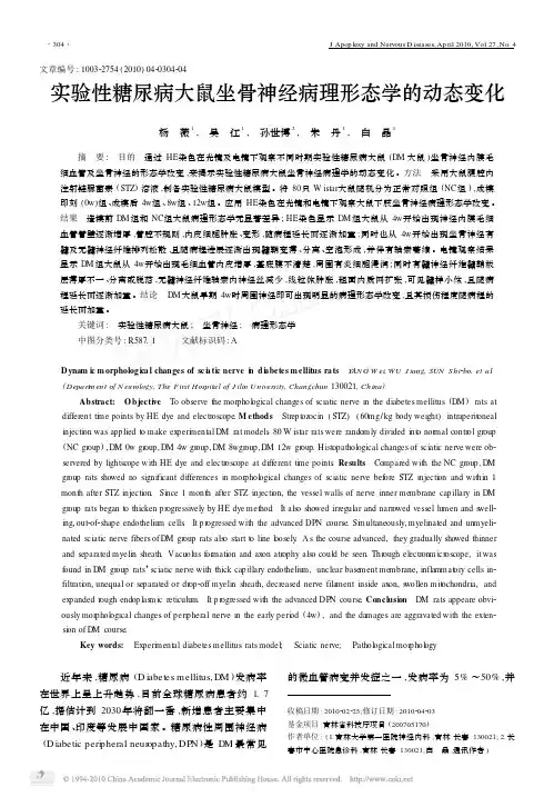 实验性糖尿病大鼠坐骨神经病理形态学的动态变化