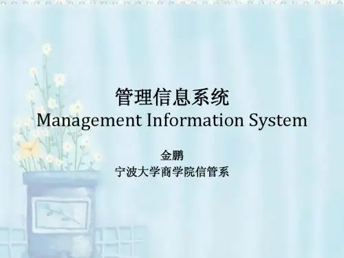 MIS概述