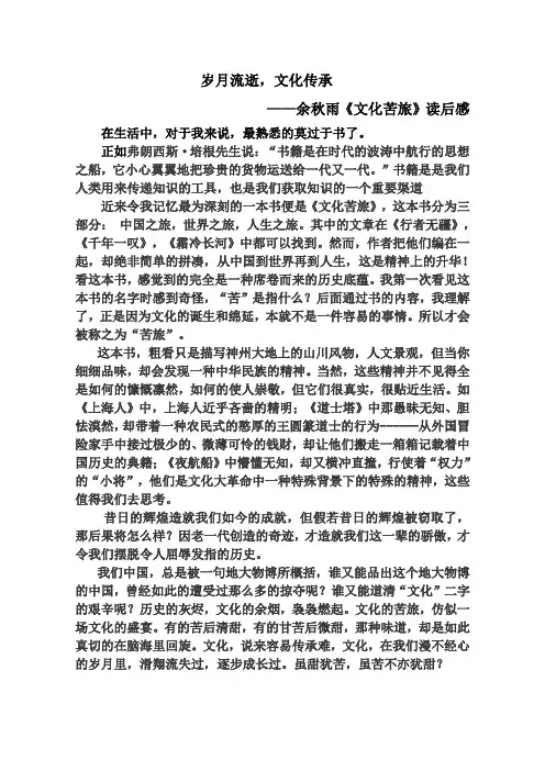 《文化苦旅》读后感