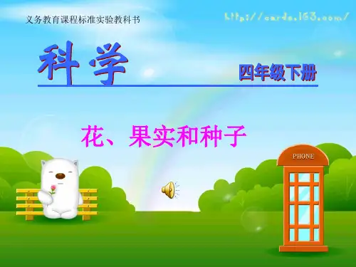 花、果实和种子PPT