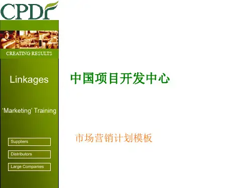 CPDF-CPDFLinkages培训项目—MarketingPlanTemplatev1.0-Final