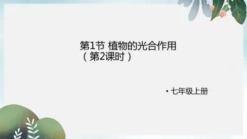 七年级生物上册3.4.1植物的光合作用第2课时课件新版苏科版