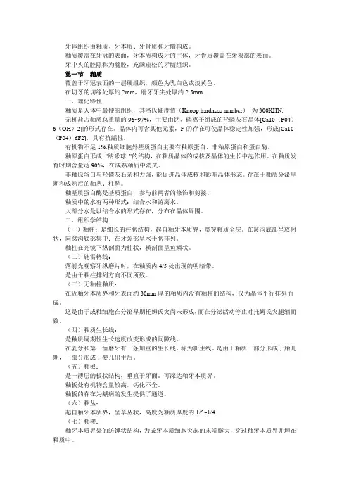 第三章 牙体组织