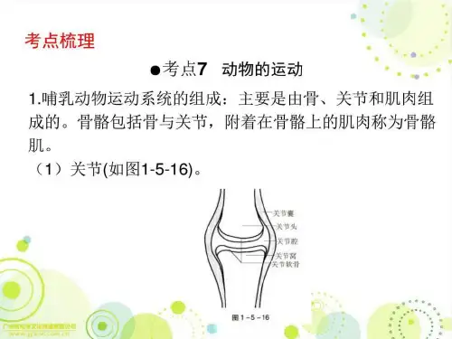 广东省中山市人教版初中生物中考精美复习第4