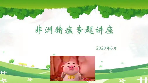 最新非洲猪瘟培训讲座