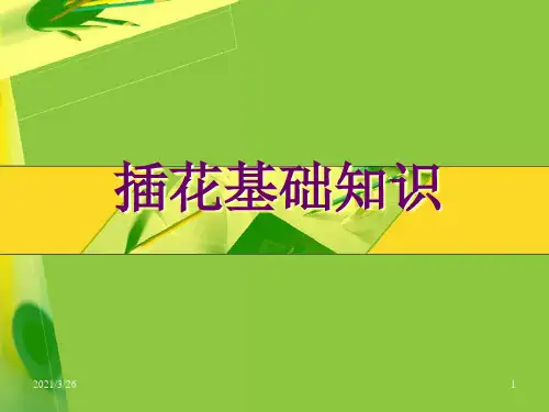 《插花基础知识》PPT课件