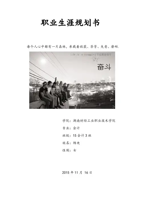 会计职业生涯规划书 2
