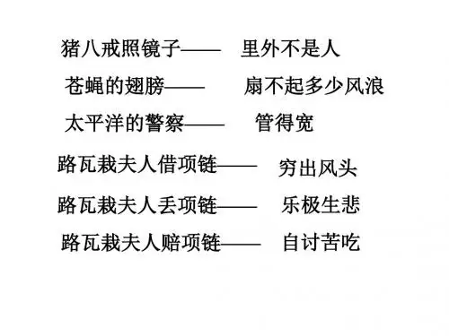 逍遥游(201908)