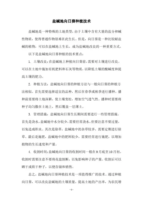 盐碱地向日葵种植技术
