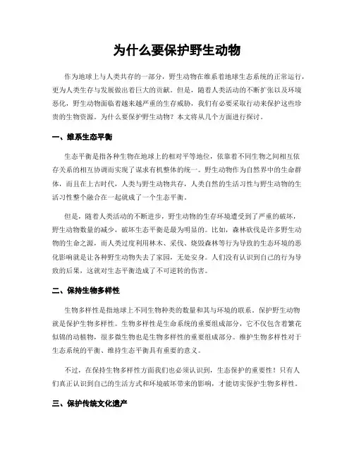 为什么要保护野生动物