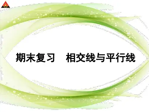 (期末复习)相交线与平行线