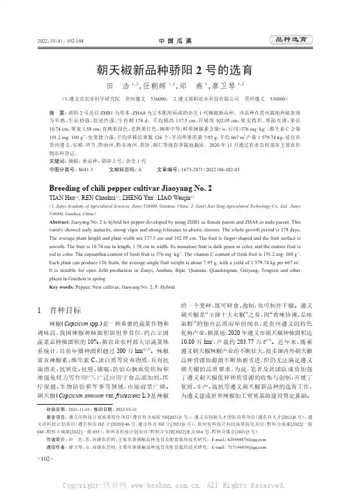 朝天椒新品种骄阳2号的选育