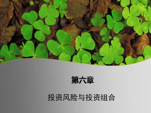 第六章 投资风险与投资组合