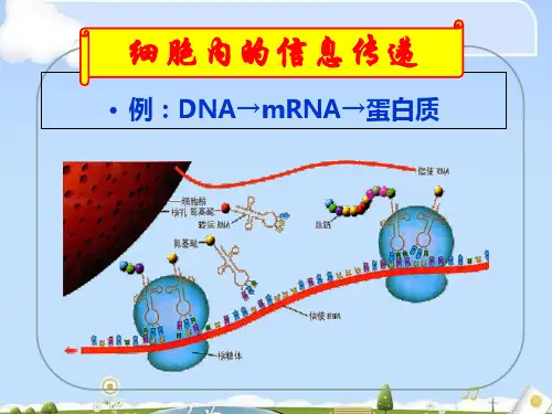人教版高中生物必修三第5章第4节 生态系统的信息传递  课件(共35张PPT)