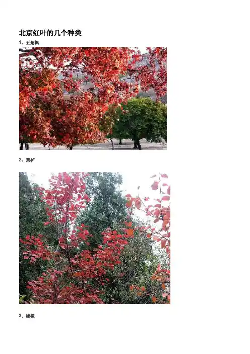 北方常用园林观赏植物名称与图片介绍